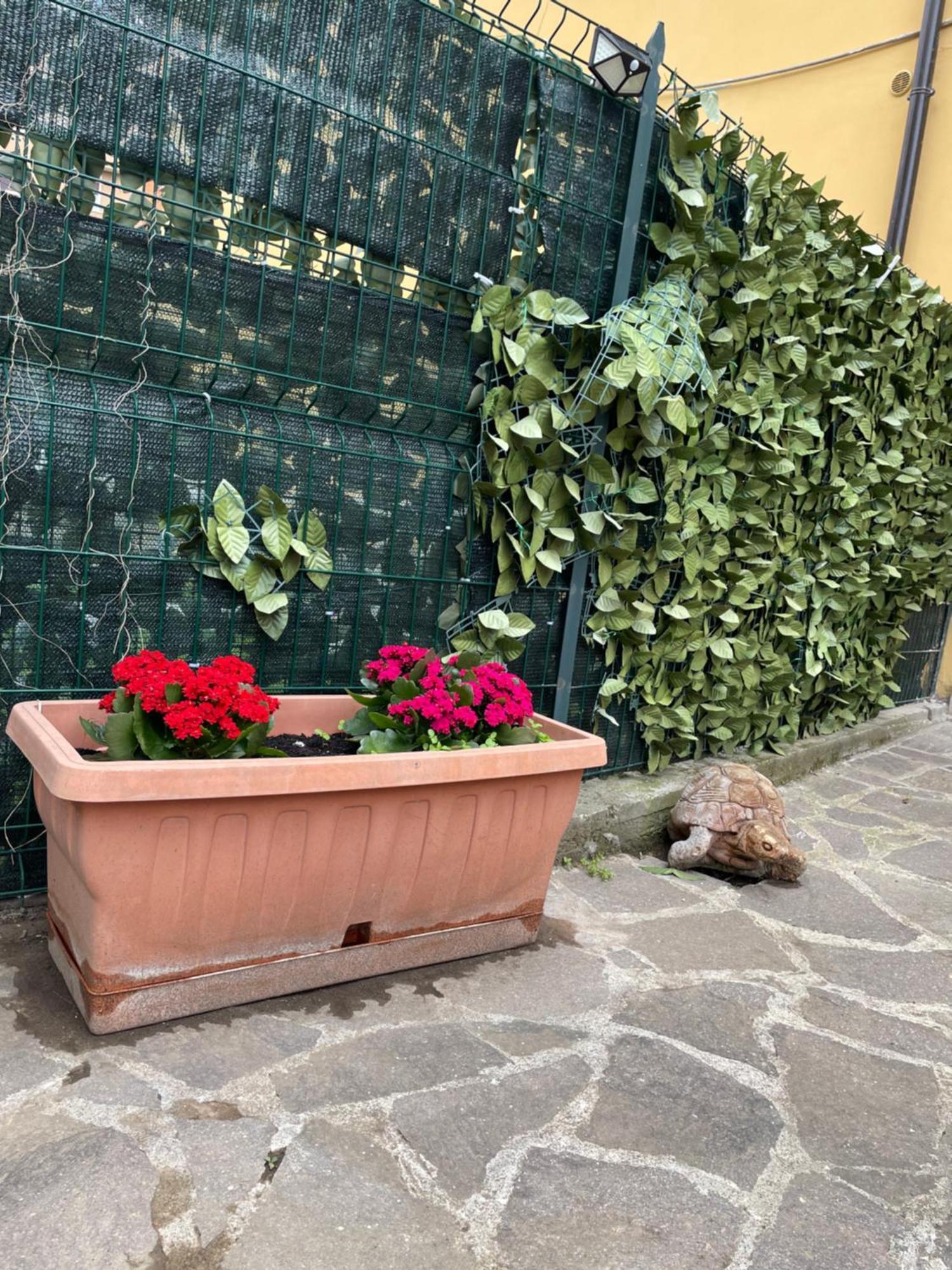 Appiolatino - Il Fenicottero Vila Roma Exterior foto